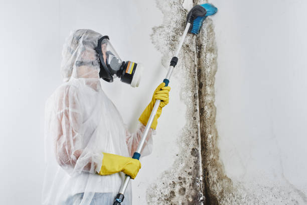 Water Damage Restoration in Gillette, NJ