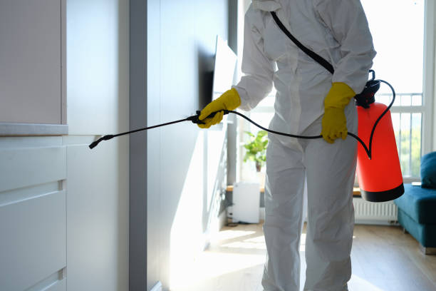 Best Toxic Mold Removal  in Gillette, NJ